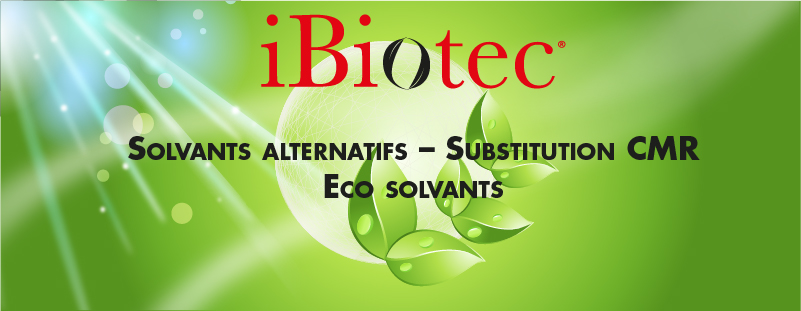 IBIOTEC Fast Clean Stripper solvant dissolvant pour résines époxydiques